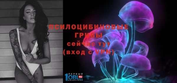 герыч Алексин