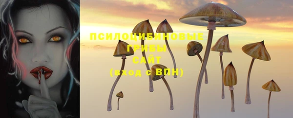 герыч Алексин