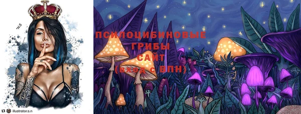 дурь Алексеевка