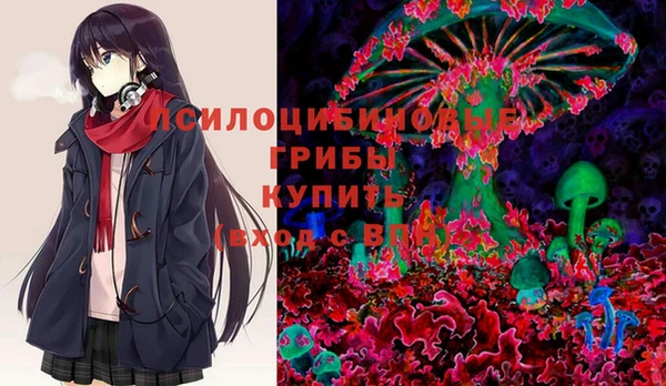 герыч Алексин