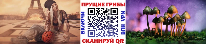 Галлюциногенные грибы мицелий  Похвистнево 